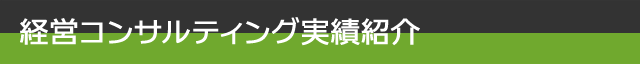 経営コンサルティング実績紹介