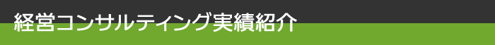 経営コンサルティング実績紹介